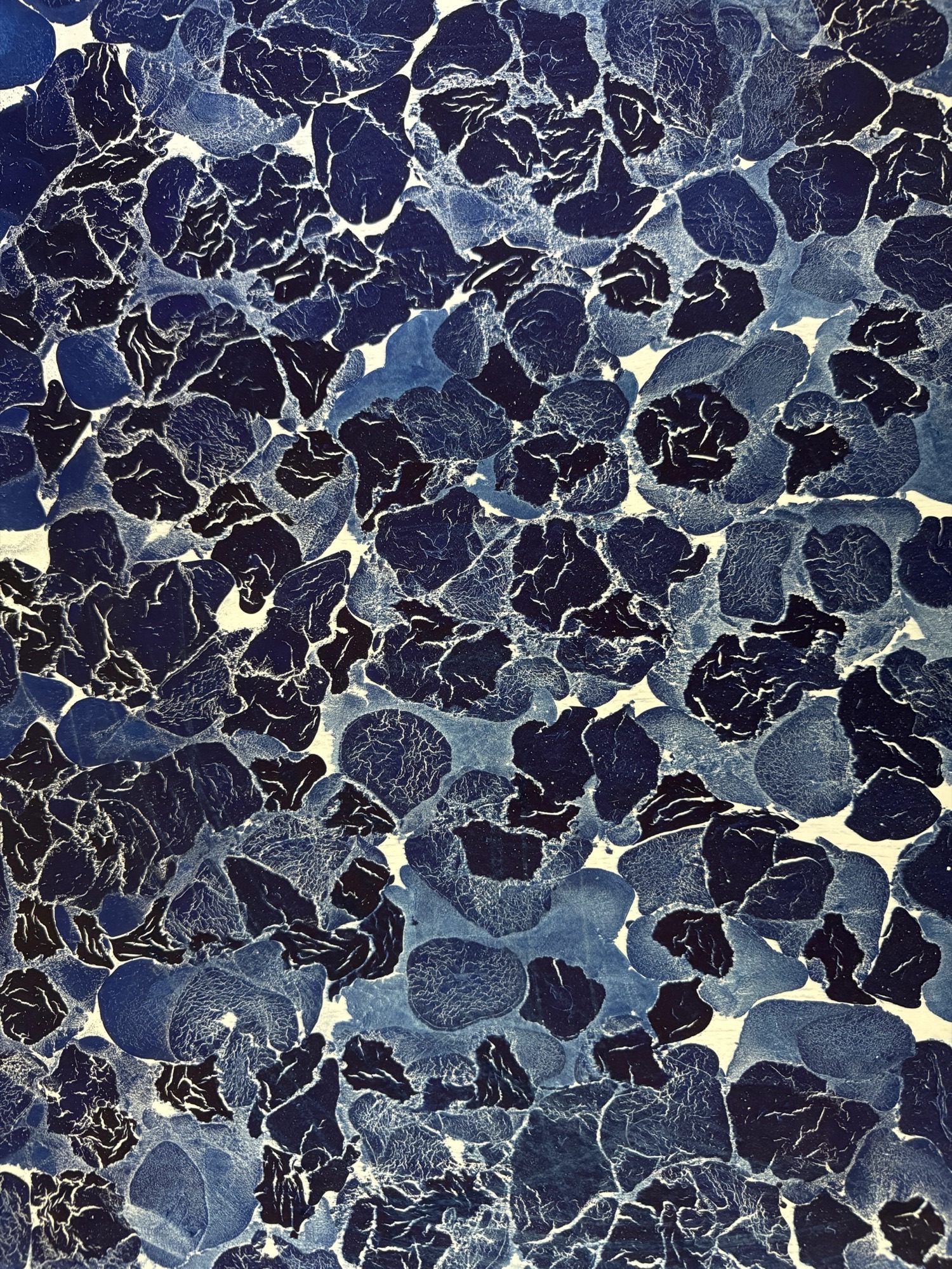 Ebru art marbling
