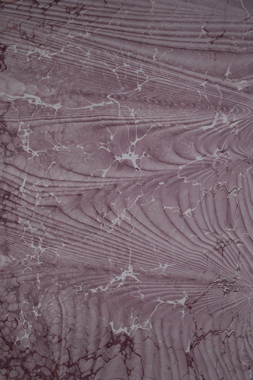 Rose Meditation - Ebru art 2024